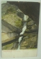 Preview: Postkarte Trümmelbach, Untere Gallerie (1906)