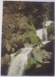 Preview: Ansichtskarte Trefflingfall - Naturpark Ötscher-Tormäuer, Niederösterreich