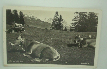 Ansichtskarte Rast auf der Alm (1937)