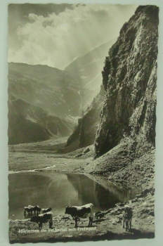 Ansichtskarte Hintersee im Felbertal mit Freiwand (1965)