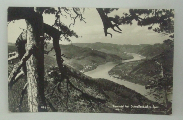 Ansichtskarte Donautal bei Schwallenbach u. Spitz