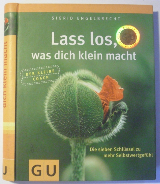 Lass los, was dich klein macht - Die sieben Schlüssel zu mehr Selbstwertgefühl von Sigrid